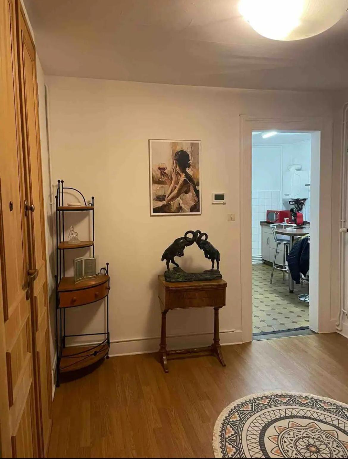 Spacious Apartment City Centre ストラスブール エクステリア 写真