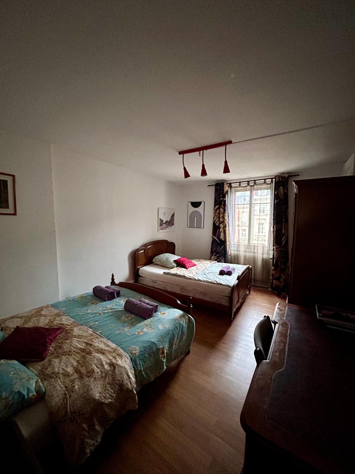 Spacious Apartment City Centre ストラスブール エクステリア 写真